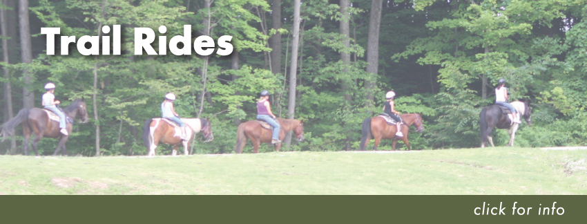 Trail Rides